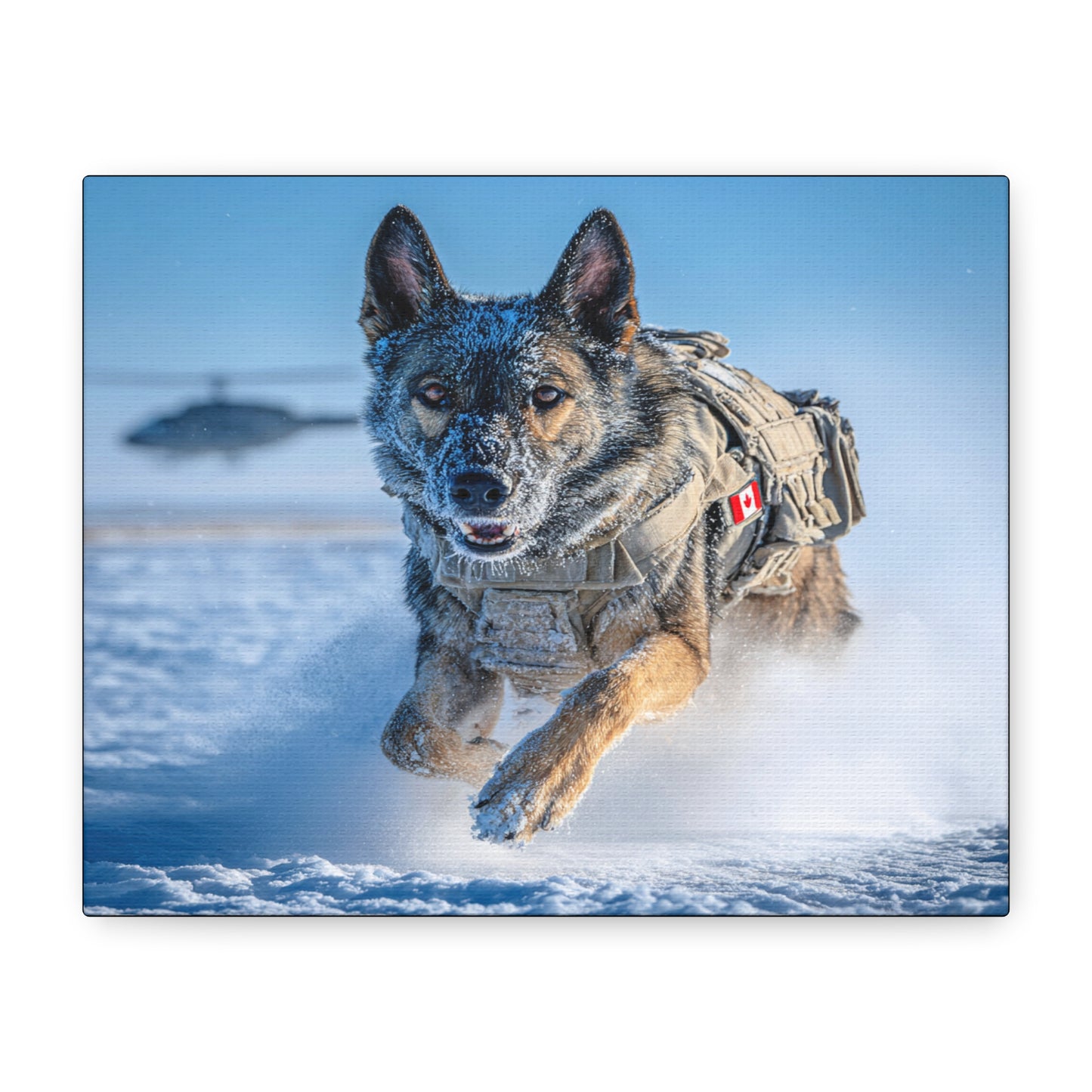 Canadian Military K9 – German Shepherd Canvas Wall Art - Tactical Motive